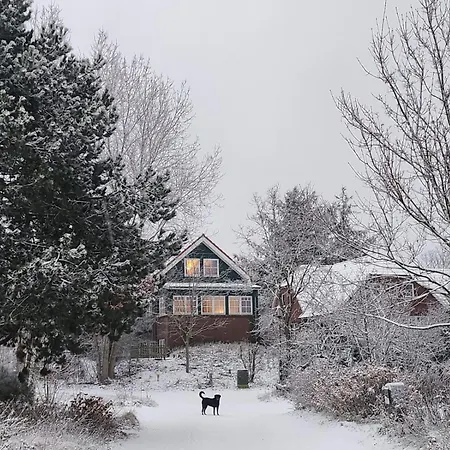 Haus Seeschwalbe - 03 *