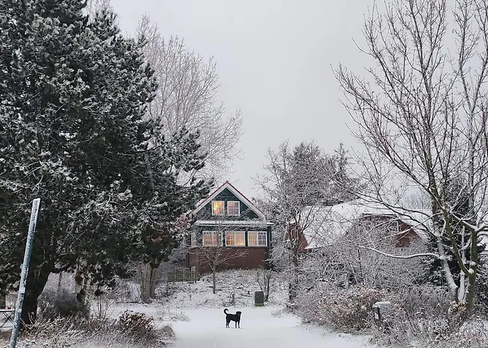 Haus Seeschwalbe - 03 *